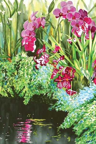 Ponds: Orchid Bliss by Christine Reichow