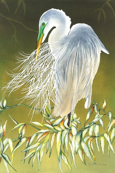 Egrets: Seeking A Mate by Christine Reichow
