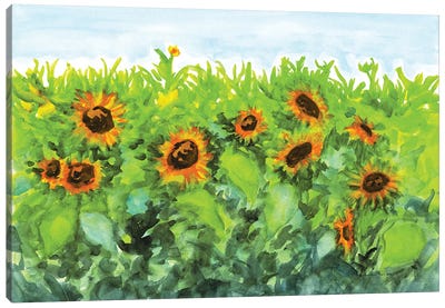 Summer Sunflowers Canvas Art Print - Christine Reichow