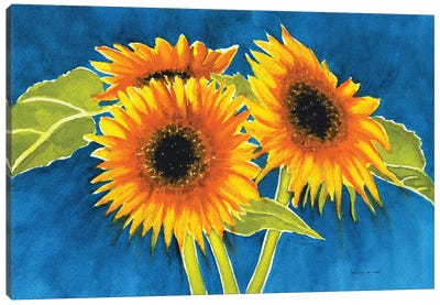 Sunflowers Canvas Art Print - Christine Reichow