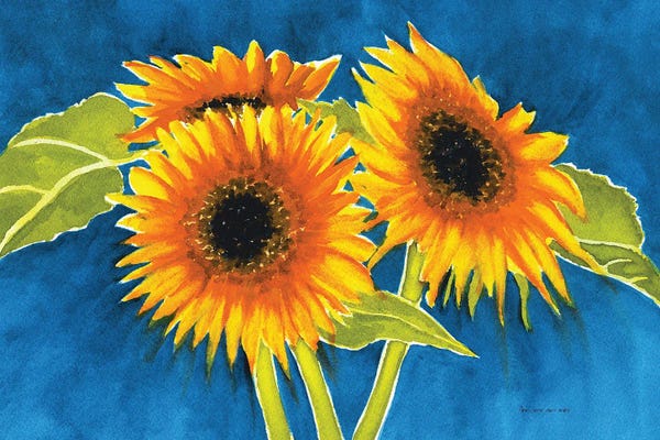 Fine Art Print: Sunflowers by Christine Reichow