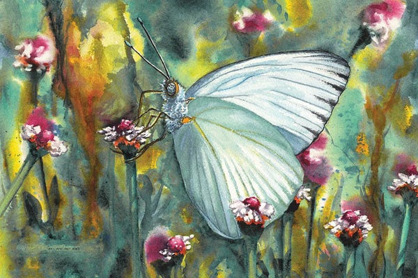 Moths: The Queen by Christine Reichow