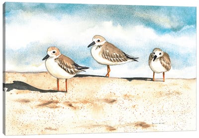 Three Amigos Canvas Art Print - Sandpiper Art