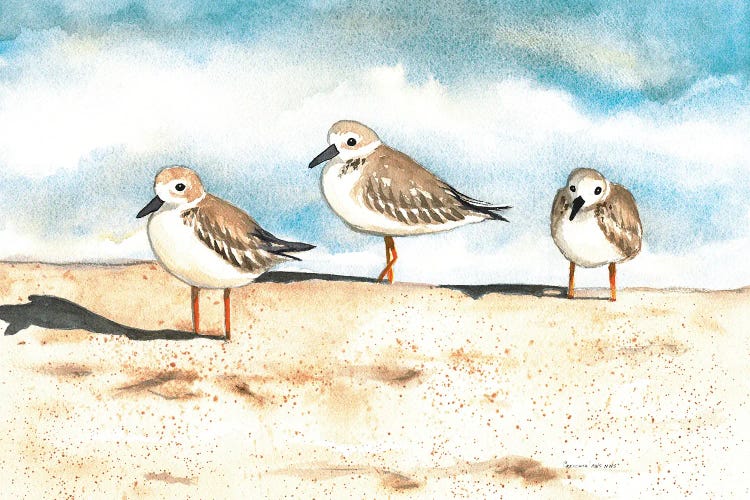 Three Amigos by Christine Reichow wall art