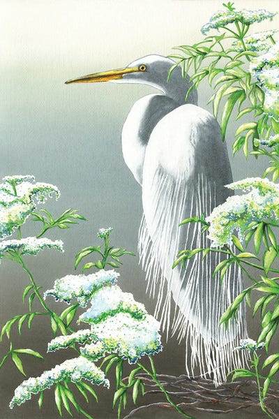 Egrets: White Elegance by Christine Reichow