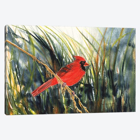 Cardinal Waiting Canvas Print #CTW10} by Christine Reichow Canvas Art Print
