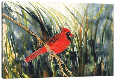 Cardinal Waiting Canvas Art Print - Christine Reichow