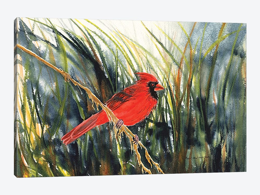 Cardinal Waiting by Christine Reichow 1-piece Canvas Wall Art