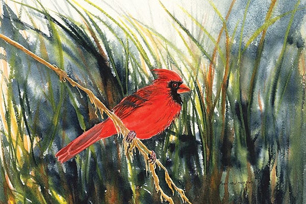 Cardinals: Cardinal Waiting by Christine Reichow