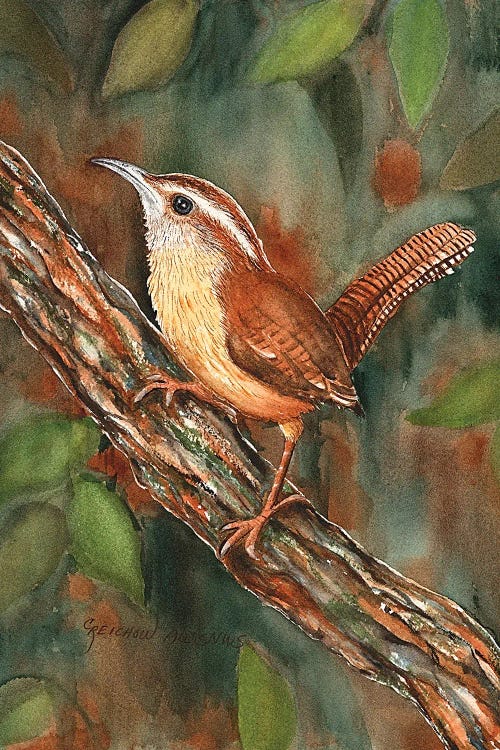 Carolina Wren by Christine Reichow wall art