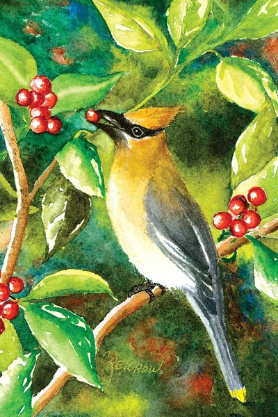 Cedar Wax Wing by Christine Reichow framed canvas print