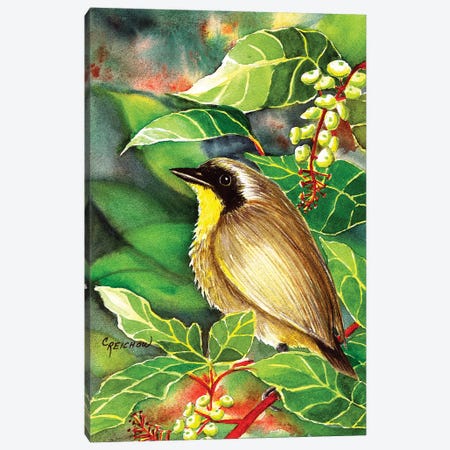 Common Yellow Throat Canvas Print #CTW13} by Christine Reichow Canvas Print