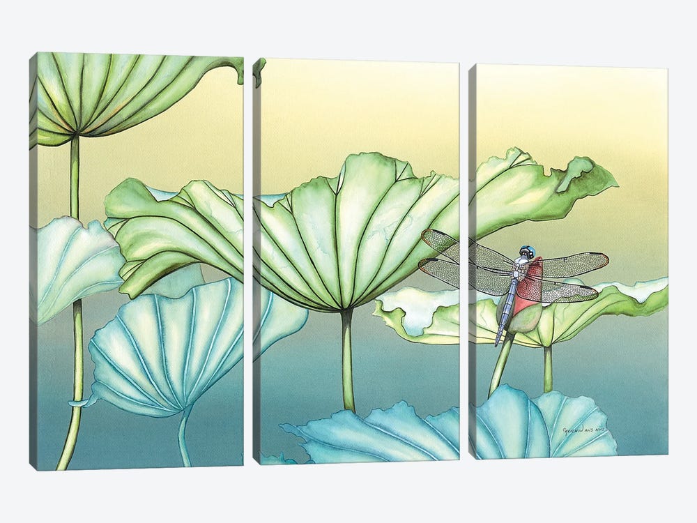 Dragonfly On Lotus Blossum by Christine Reichow 3-piece Canvas Print
