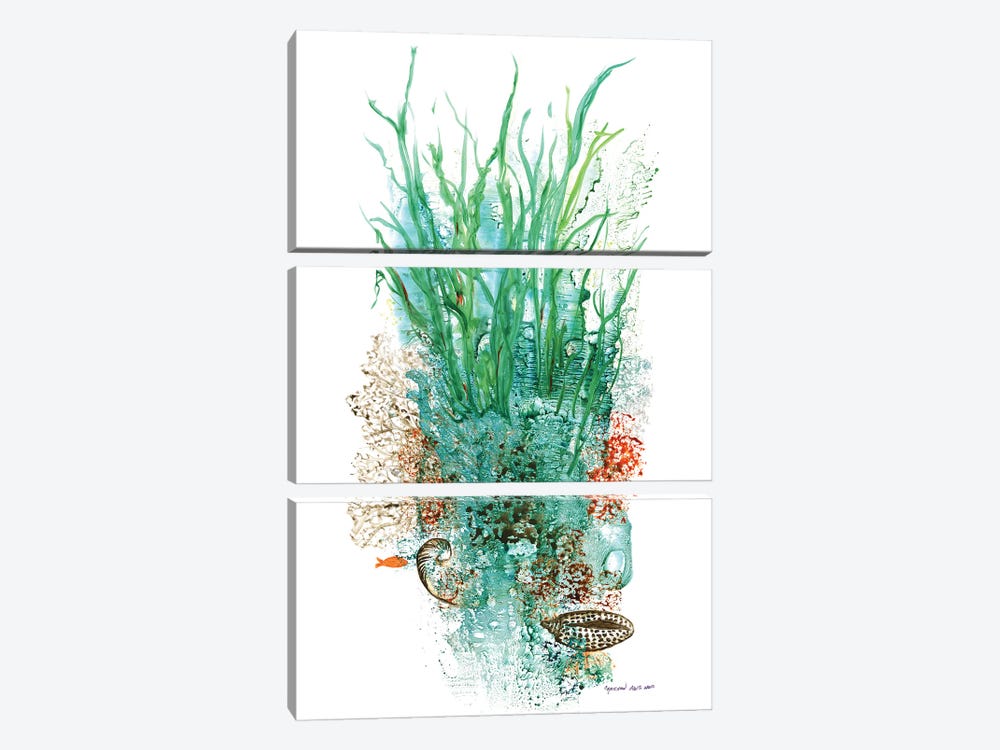 Flora Of The Deep I by Christine Reichow 3-piece Canvas Art