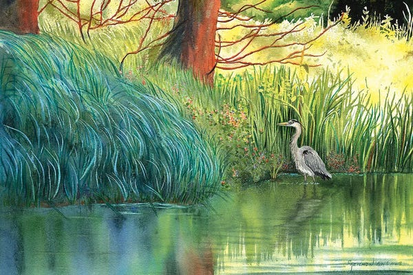 Rivers, Creeks & Streams: A Walk In The Park by Christine Reichow