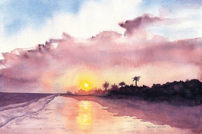 Florida Evening by Christine Reichow acrylic art print