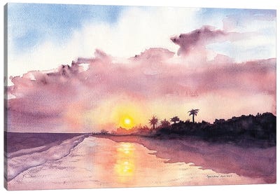 Florida Evening Canvas Art Print - Christine Reichow