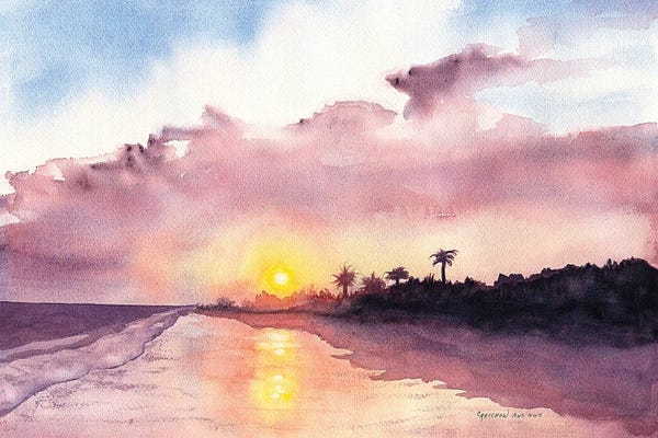Florida Beaches: Florida Evening by Christine Reichow