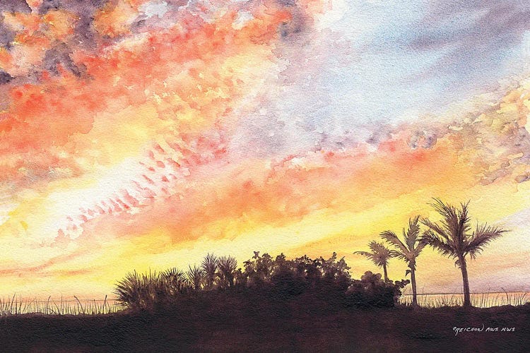 Florida Sunset by Christine Reichow wall art