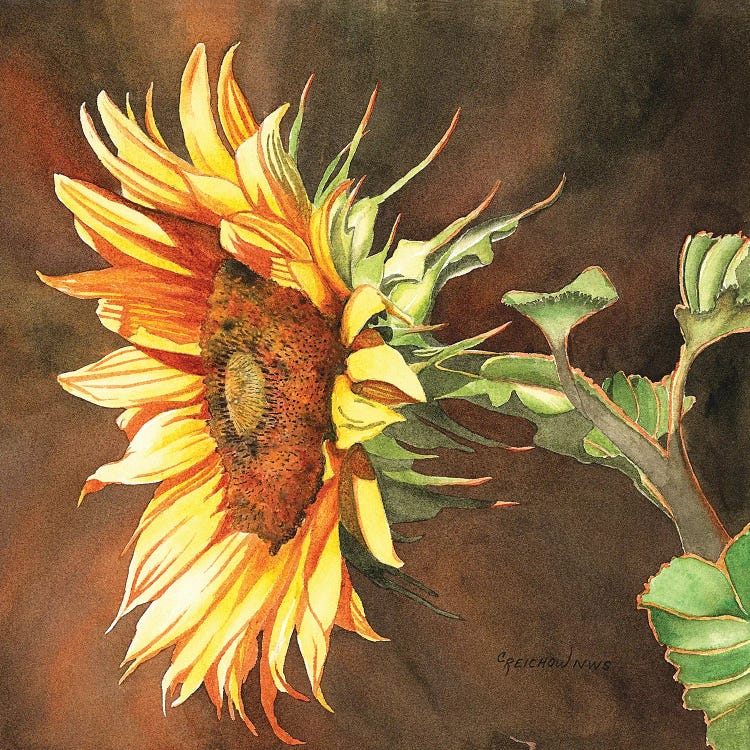 Here Comes The Sun by Christine Reichow wall art