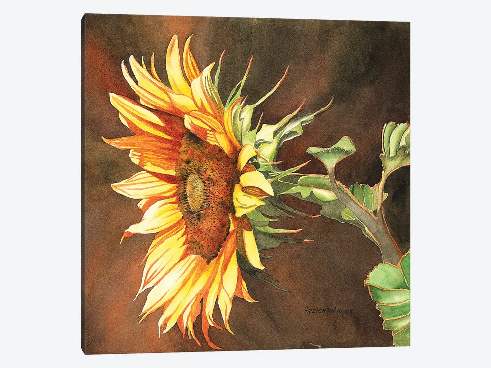 Here Comes The Sun by Christine Reichow 1-piece Canvas Print