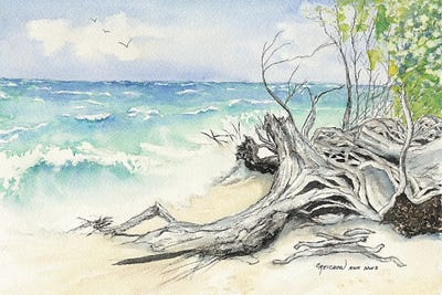 After The Storm by Christine Reichow framed canvas print