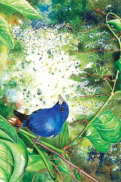 Indigo Bunting by Christine Reichow framed canvas print
