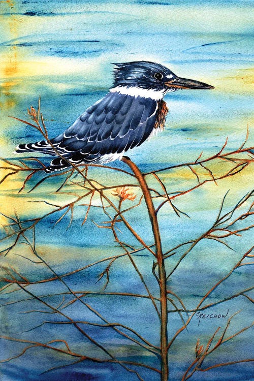 Kingfisher by Christine Reichow wall art