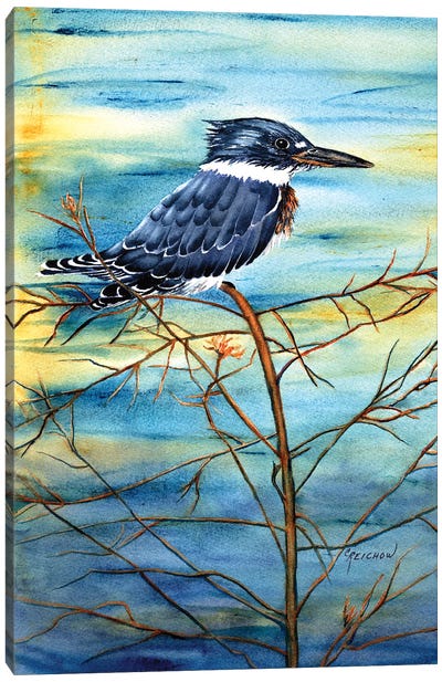 Kingfisher Canvas Art Print - Christine Reichow