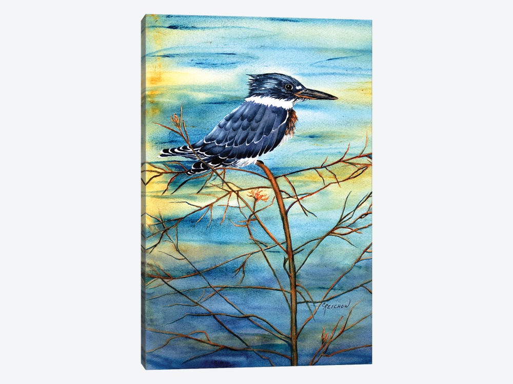 Kingfisher by Christine Reichow 1-piece Canvas Art Print