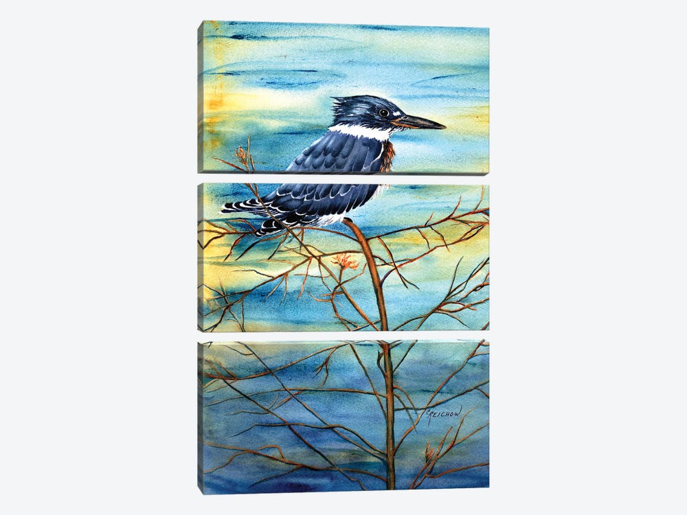 Kingfisher by Christine Reichow 3-piece Art Print