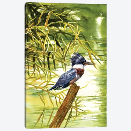 Lady Kingfisher Canvas Print #CTW32} by Christine Reichow Canvas Art Print