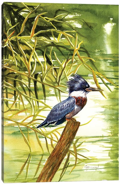 Lady Kingfisher Canvas Art Print - Christine Reichow
