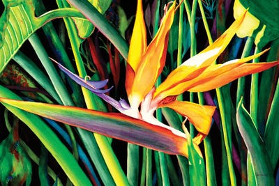 Living Color by Christine Reichow multi panel art