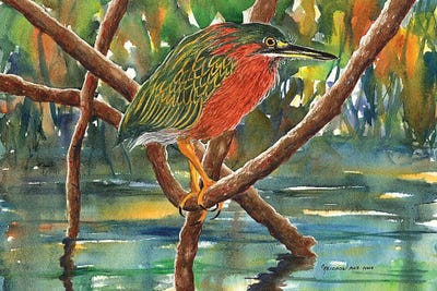 Mangrove Hotel by Christine Reichow framed canvas print