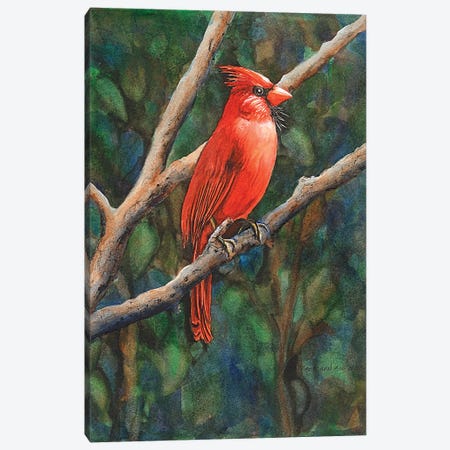 Mr Cardinal Canvas Print #CTW37} by Christine Reichow Canvas Artwork