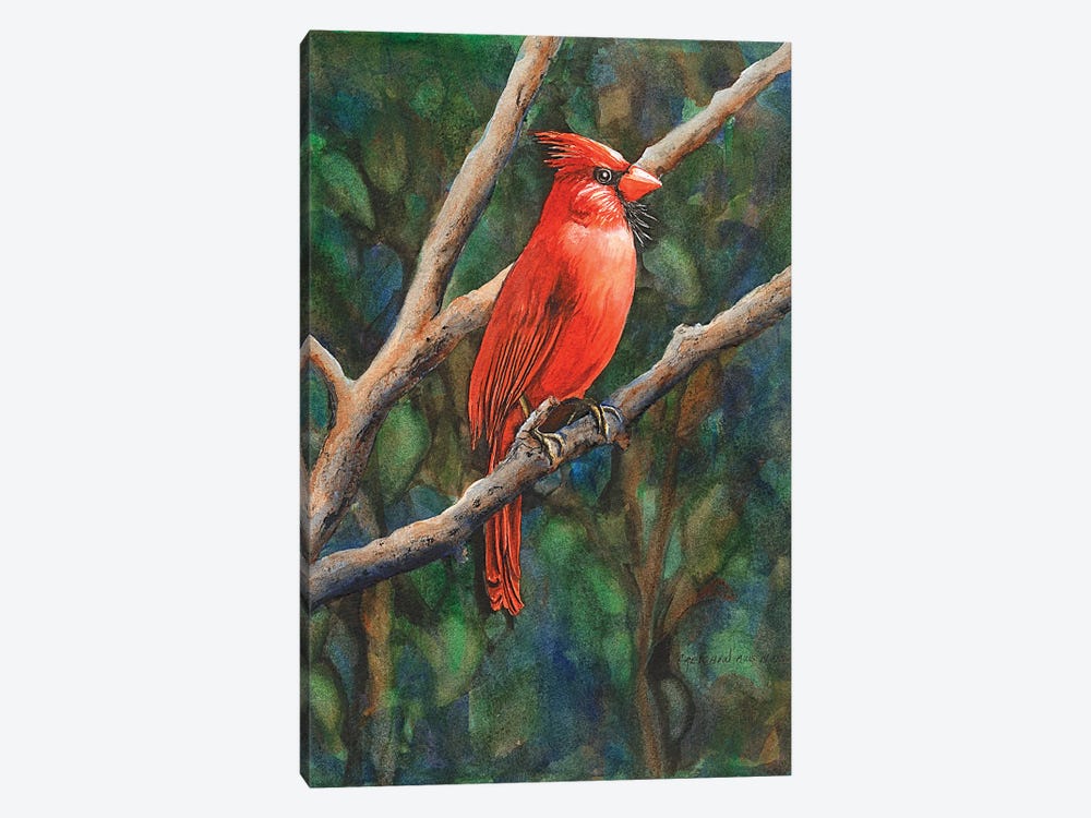 Mr Cardinal by Christine Reichow 1-piece Art Print