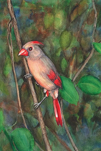 Mrs Cardinal by Christine Reichow art print