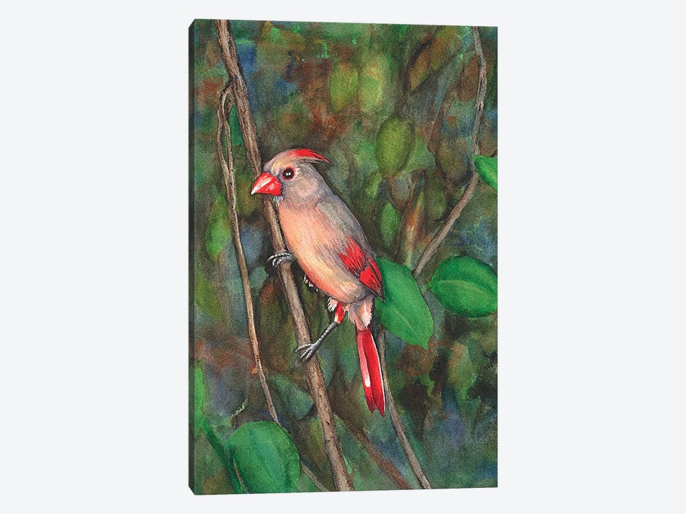 Mrs Cardinal by Christine Reichow 1-piece Canvas Art