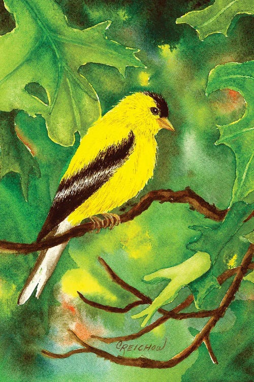 Oak Tree Habitat by Christine Reichow wall art