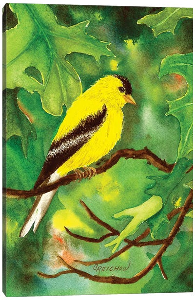 Oak Tree Habitat Canvas Art Print - Christine Reichow