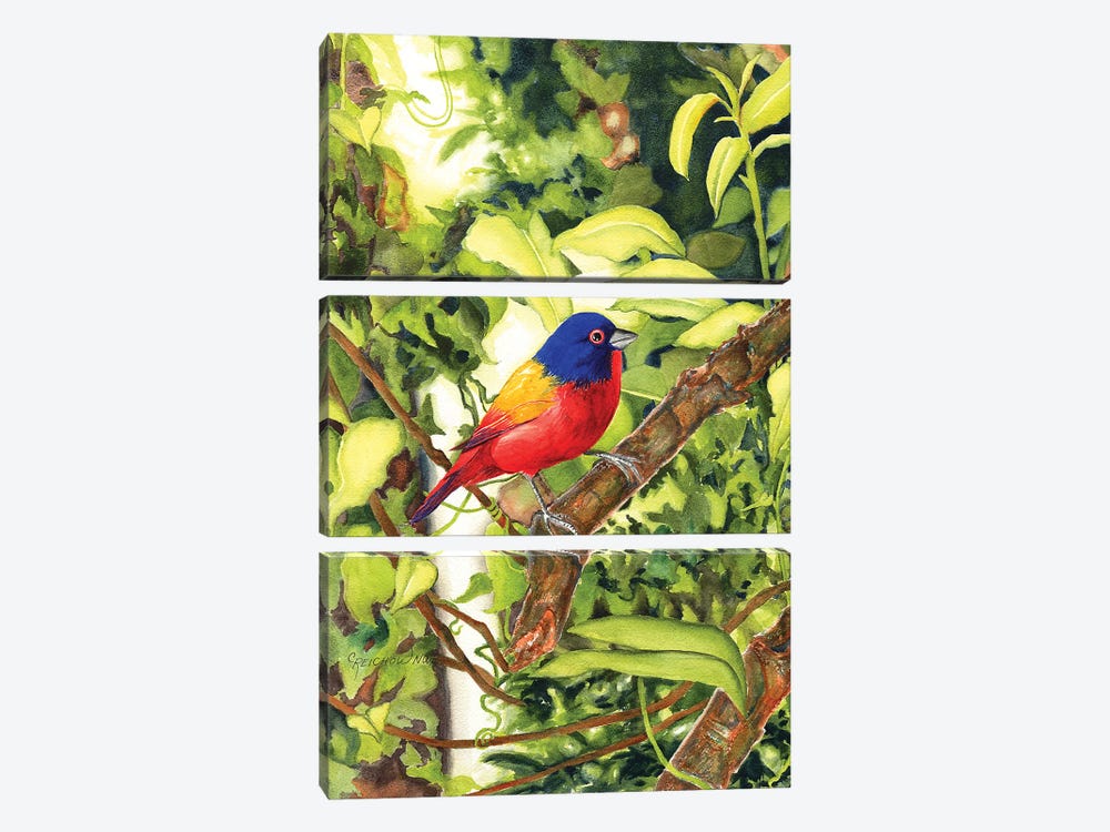 Painted Bunting by Christine Reichow 3-piece Canvas Wall Art