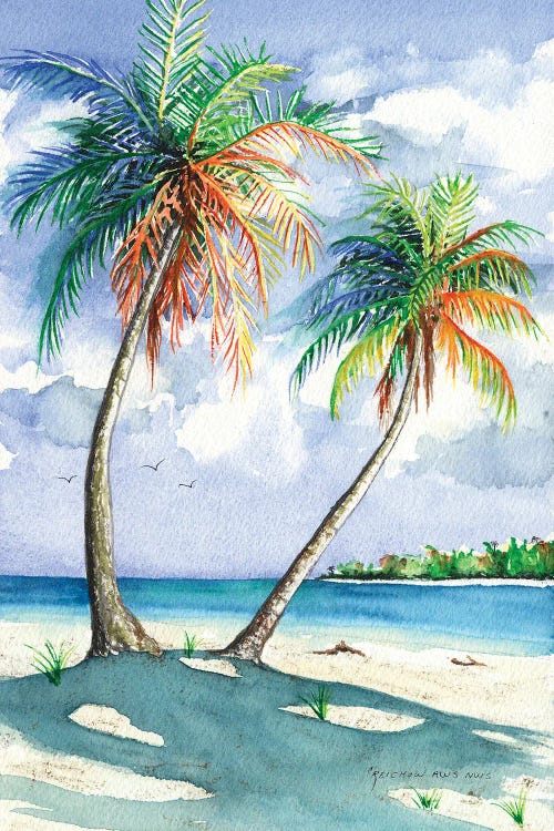 Palm Shadows by Christine Reichow wall art