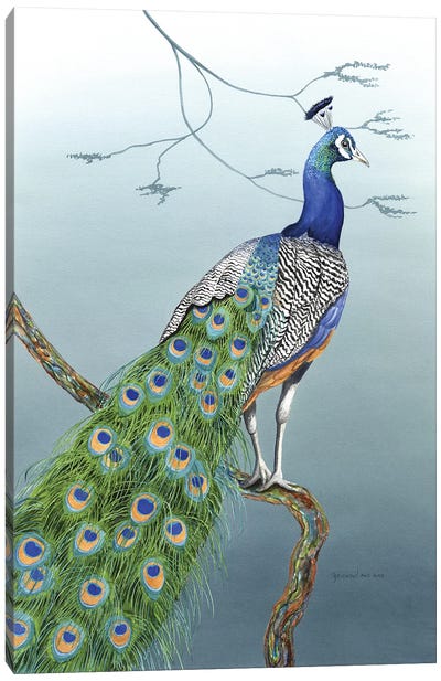 Proud As A Peacock Canvas Art Print - Christine Reichow