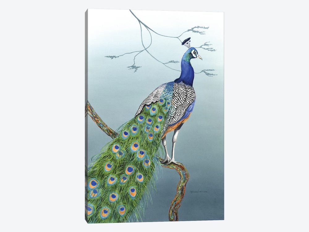 Proud As A Peacock by Christine Reichow 1-piece Canvas Wall Art