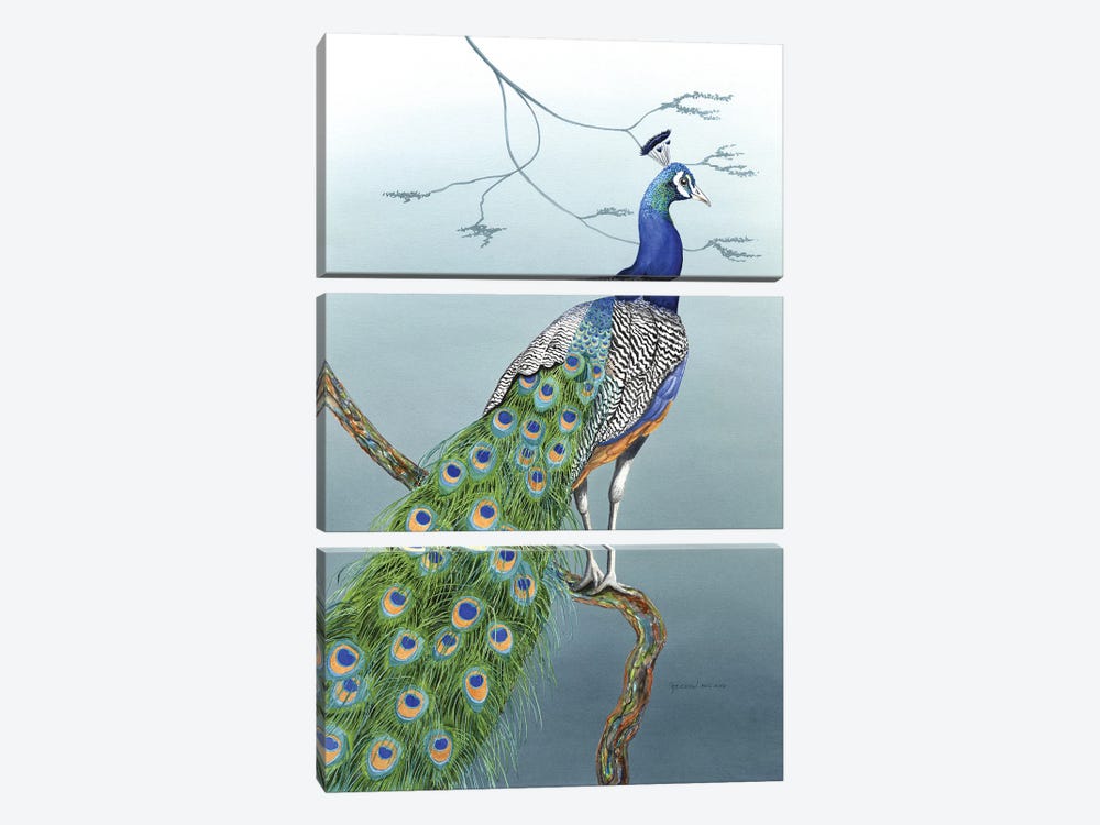 Proud As A Peacock by Christine Reichow 3-piece Canvas Wall Art