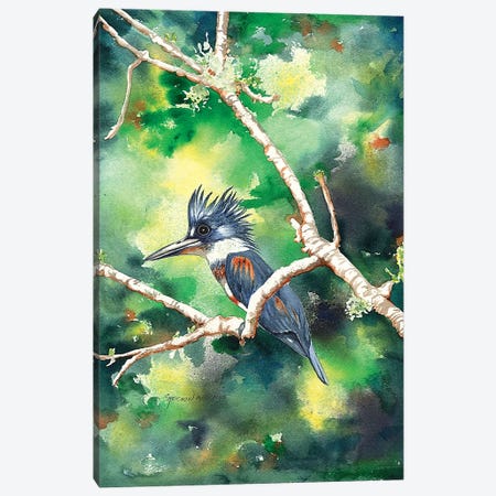 Quizzical Kingfisher Canvas Print #CTW49} by Christine Reichow Canvas Wall Art