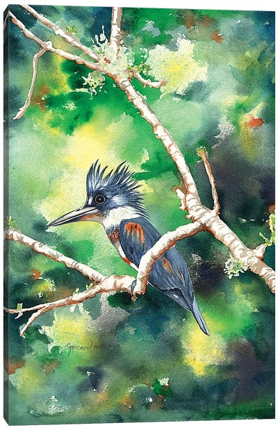 Quizzical Kingfisher Canvas Art Print - Christine Reichow