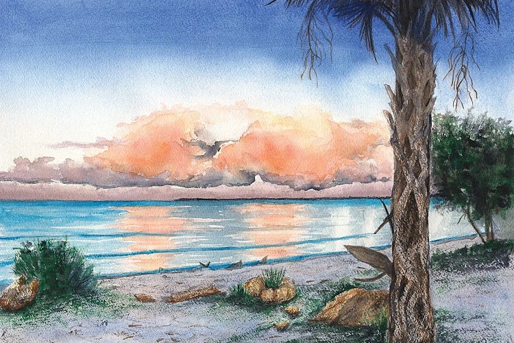 Almost Evening by Christine Reichow wall art