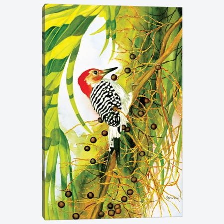 Red Bellied Woodpecker Canvas Print #CTW50} by Christine Reichow Art Print